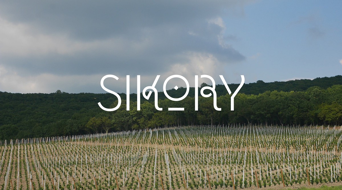 Sikory Wine Branding